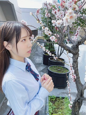 白桃花